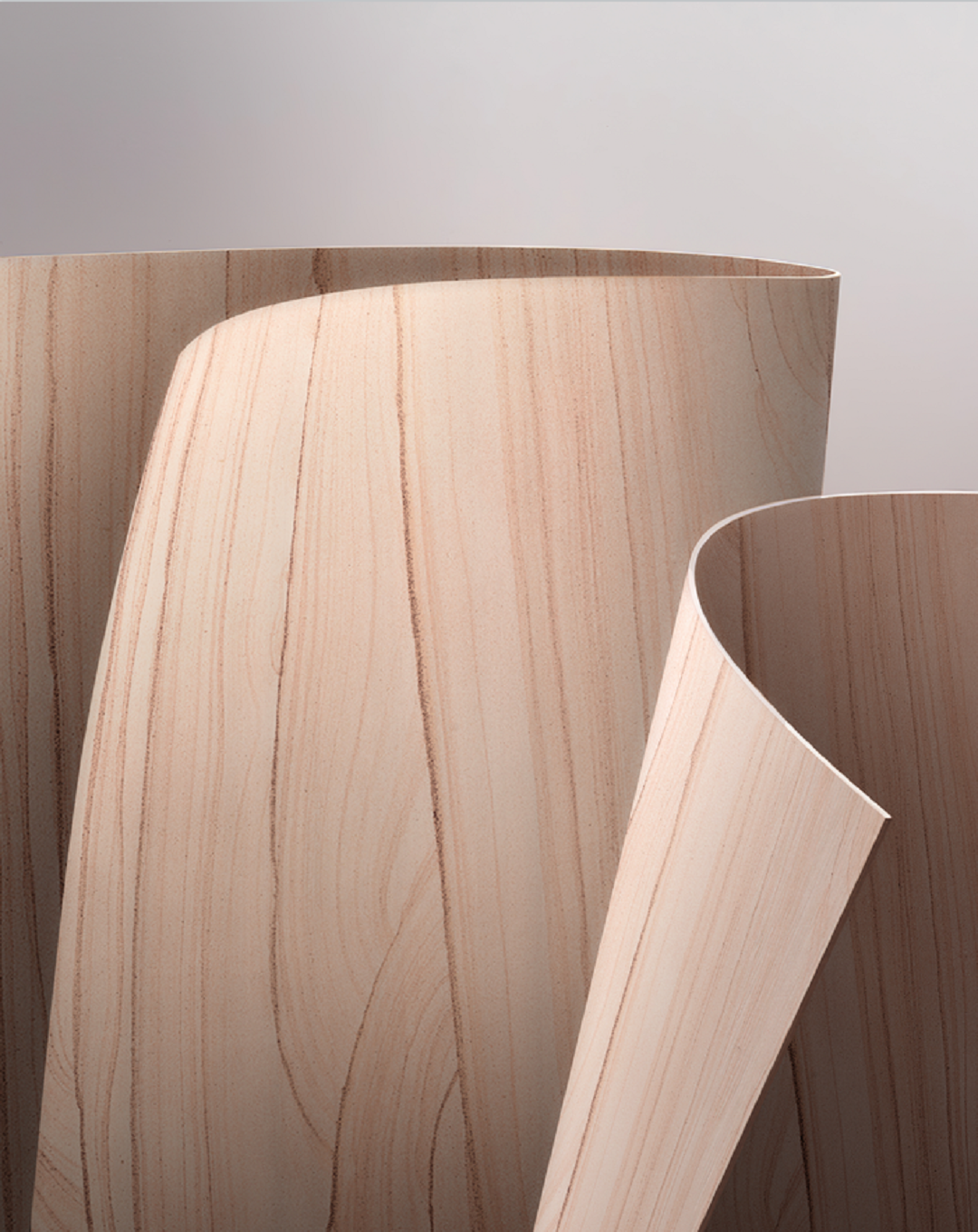 1746780538856859.png 圖片11新.png